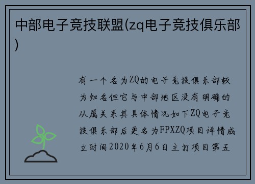 中部电子竞技联盟(zq电子竞技俱乐部)